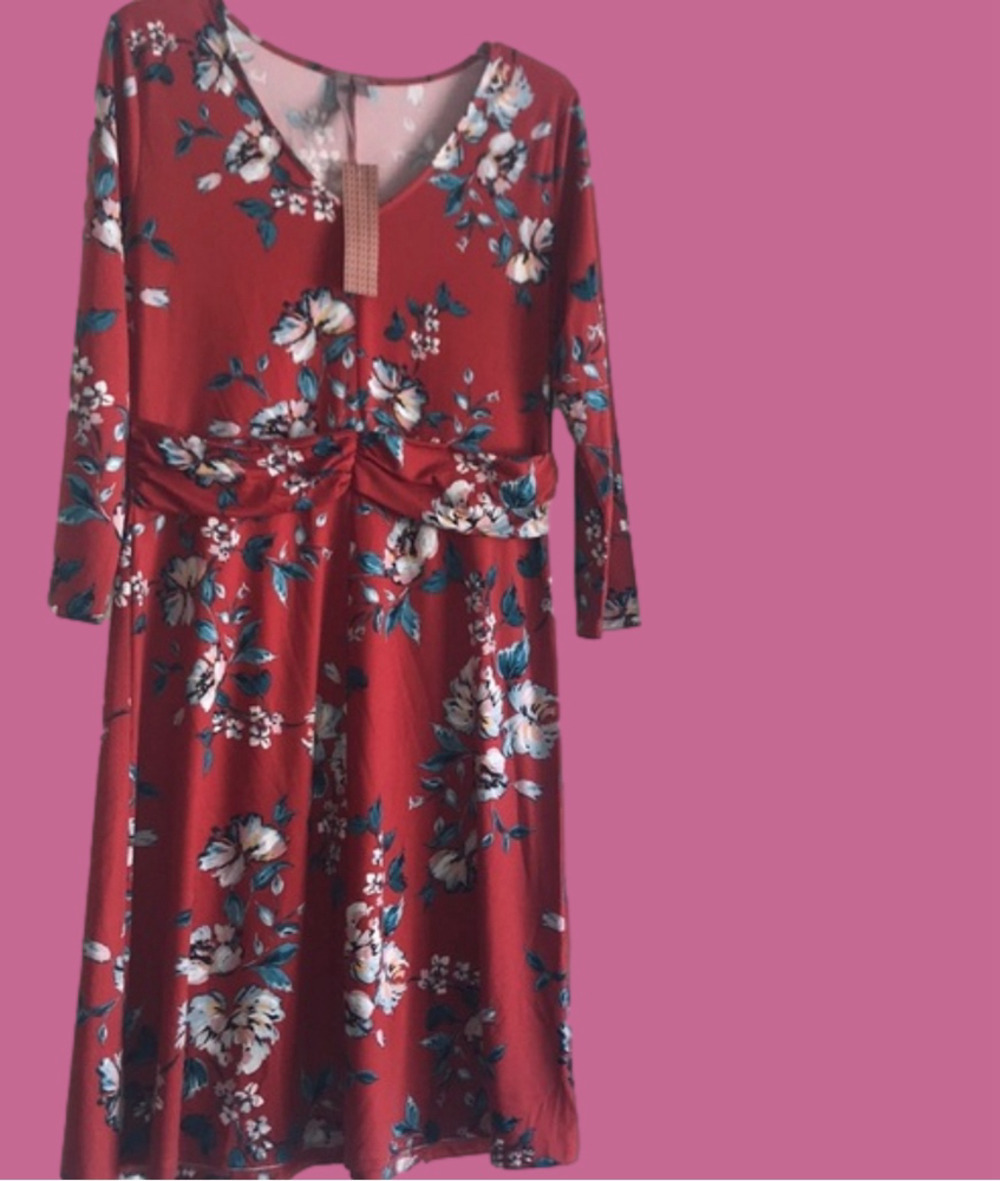 NWT Brina & Em M dress